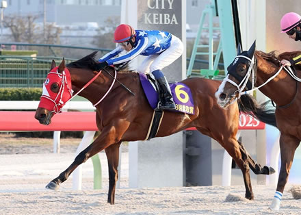 【雲取賞/大井】リアライズグリントが競り合いを制してＶ！羽田盃への優先出走権奪取