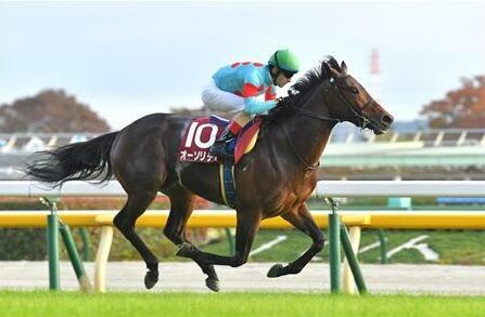 【競馬予想】[1]第28回エルムステークス(GⅢ) /2023