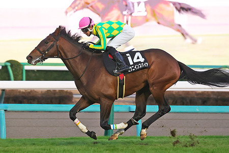 【競馬予想】[2]第74回日経賞(GⅡ) /2026