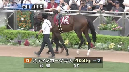 スティンガーグラスは登録している有馬記念を謎の回避