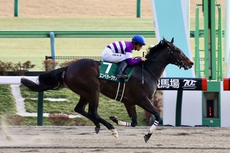 根岸S勝ち馬エンペラーワケアはフェブラリーS回避