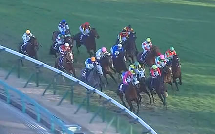 【有馬記念】メイショウタバル武豊とは何だったのか