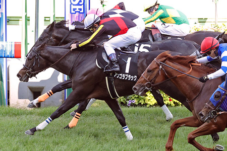 【競馬予想】[2]第44回中山牝馬ステークス(GⅢ) /2026