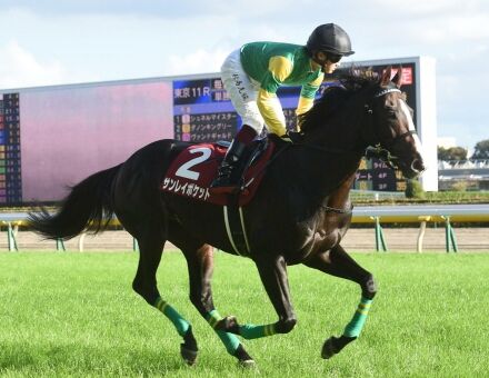 サンレイポケット高橋義師「札幌記念は相手が強すぎる…」回避して新潟記念へ