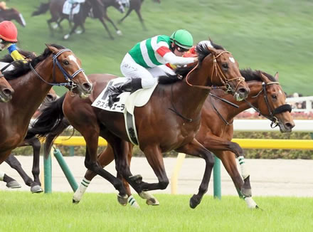 タスティエーラ「皐月賞2着、ダービー1着、菊花賞2着」←もちろん最優秀3歳牡馬だよね？