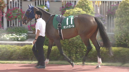 【アイルランドT】ボンドガールとはなんだったのか定期便