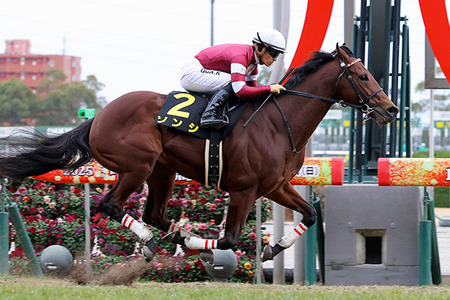 【競馬予想】第70回阪急杯(GⅢ) /2026