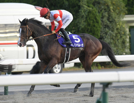 【札幌記念】ダノンベルーガ、ヒシイグアスが緊急参戦で超豪華メンバー