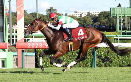 セントライト勝馬レーベンスティール菊花賞回避