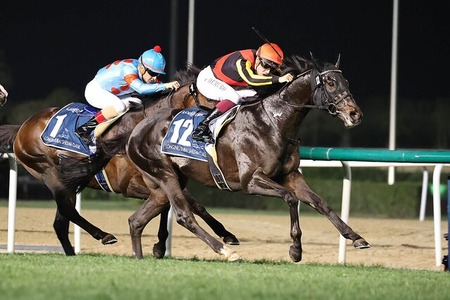 シャフリヤール、横山武史で札幌記念へ