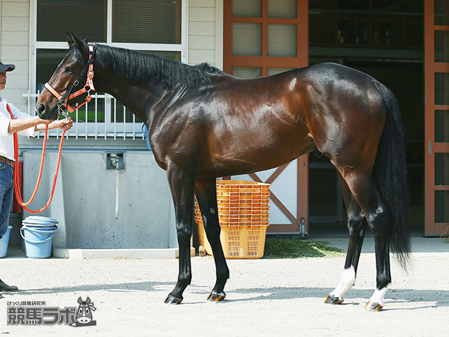 ☆うまなみ・競馬にゅーす速報 ｜ 競馬2chまとめ