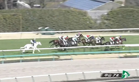 【3歳1勝クラス】マルガ弱すぎワロタw w w w w