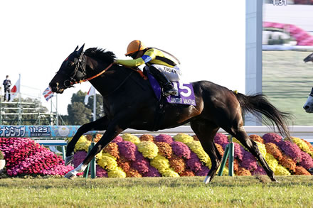 ジャンタルマンタル顕彰馬に届くか