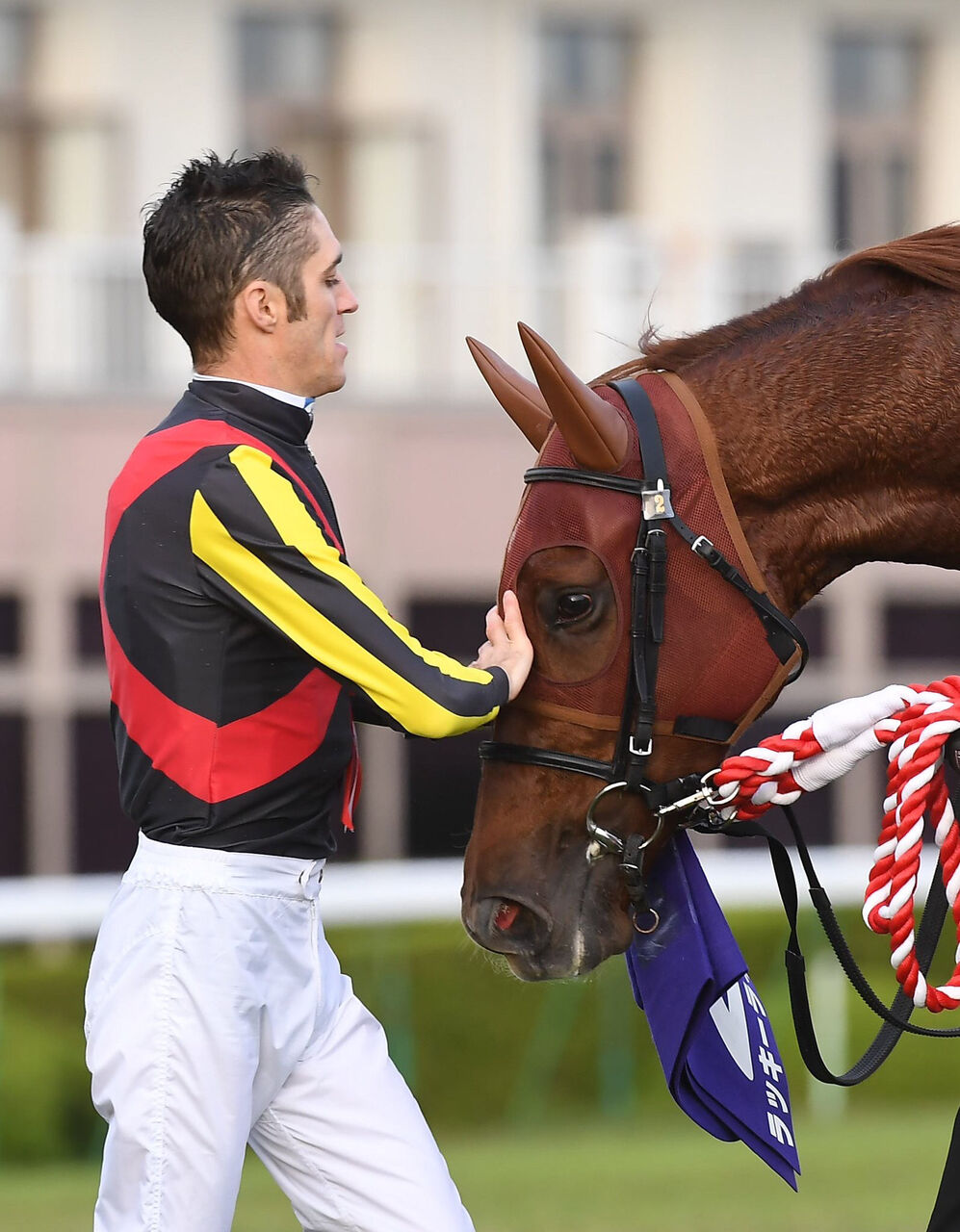 スミヨン ラッキーライラックはオルフェと違ってメンタルがしっかりしてる うまなみ 競馬にゅーす速報