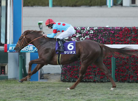 サリオス 秋緒戦は毎日王冠 ｜ ☆うまなみ・競馬にゅーす速報