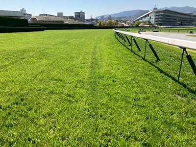 阪神芝コース超絶高速コンクリートに変貌！レコード連発中！