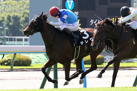 【競馬予想】第2回小倉牝馬ステークス(GⅢ) /2026