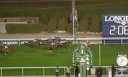 【ネオムターフC】ロイヤルチャンピオンが圧勝！シンエンペラーは連覇ならず