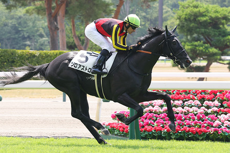 【競馬予想】[2]第66回きさらぎ賞(GⅢ) /2026