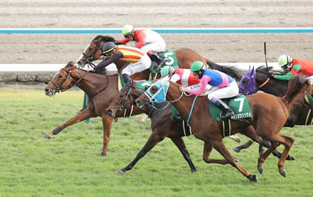 【ファンタジーS】フェスティバルヒルが抜け出し重賞初制覇！Ｃデム短期免許初日Ｖ