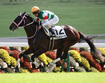 【2歳新馬】バルセシート、怪物だった… レシステンシアの下