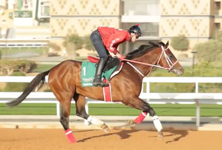 フォーエバーヤングは芝を走らせても間違いなく速い