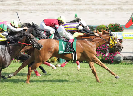 【中京記念】波乱！3歳牝馬マピュースがが抜け出し重賞初制覇