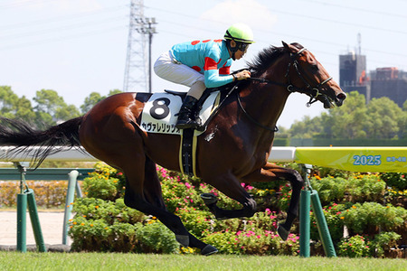 【競馬予想】[1]第77回朝日杯フューチュリティステークス(GⅠ) /2025