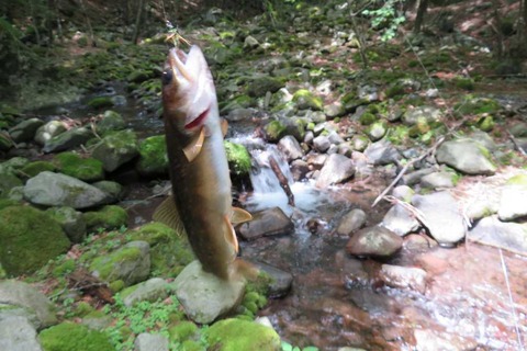 鳥居川 (12)