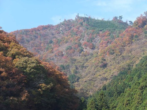DSCF2157