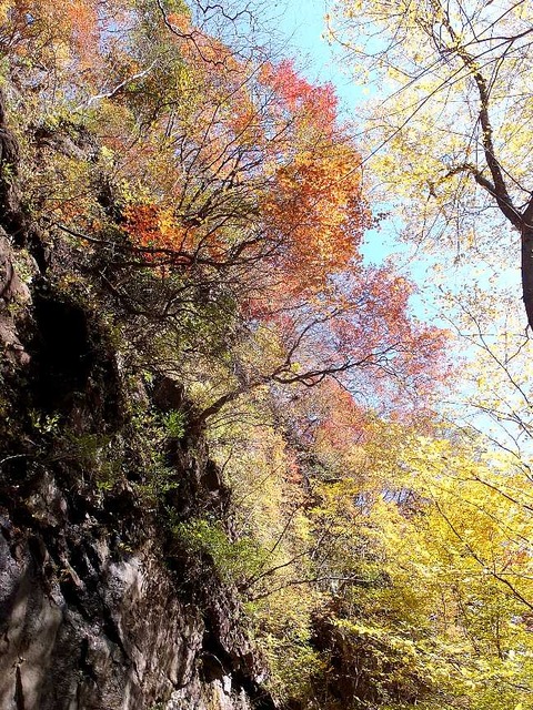 DSCF1406