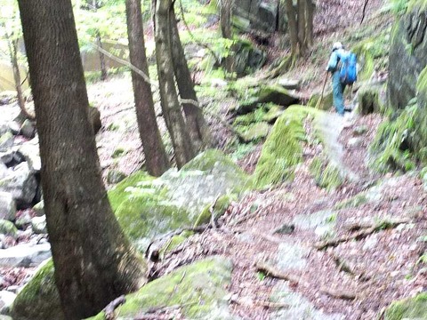 DSCF7166