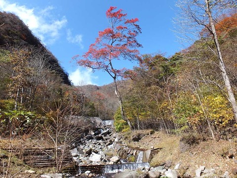 DSCF1396