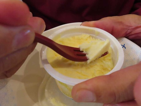 IMG_1137 - コピー