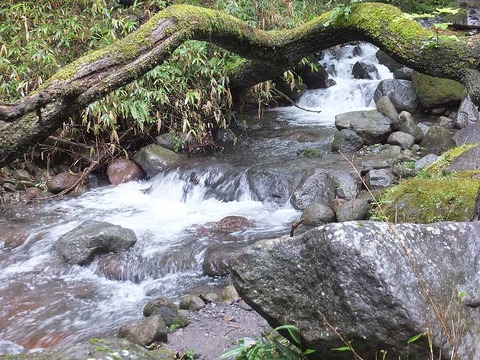 DSCF0215