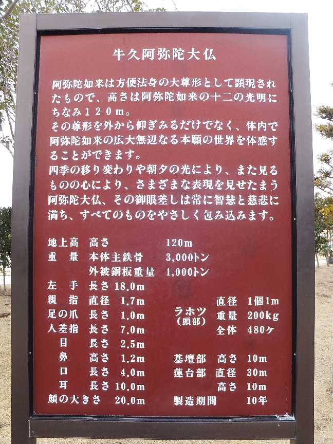 イメージ 5