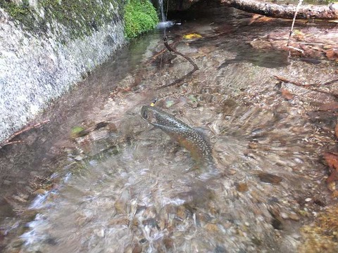 DSCF0073