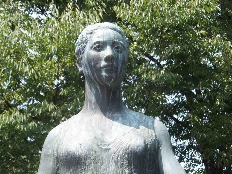 イメージ 8