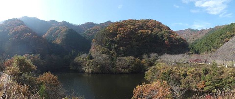 DSCF2156