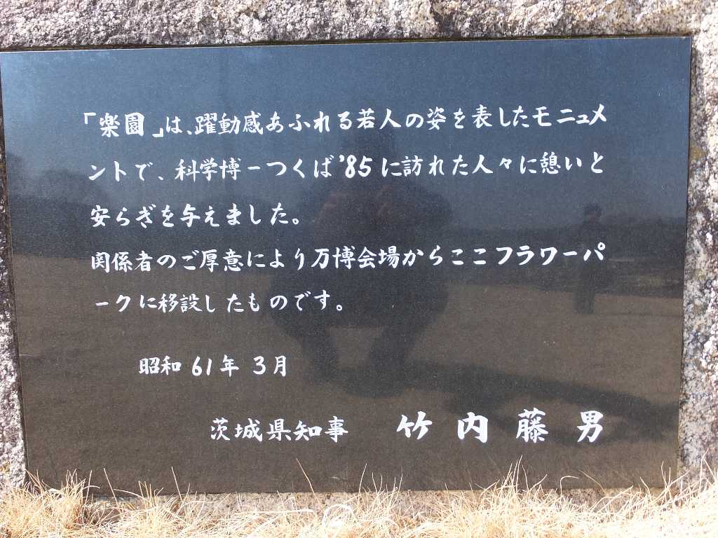 イメージ 6