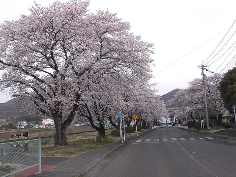 桐生川根本3