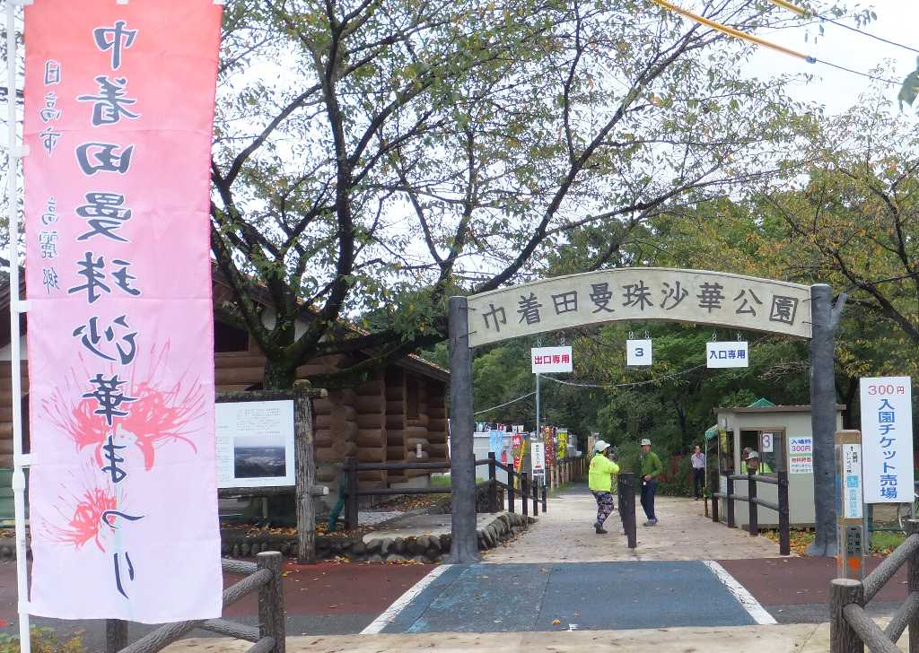 巾着田 曼珠沙華公園 渓流釣りと食べ歩き桐生岩魚のブログ