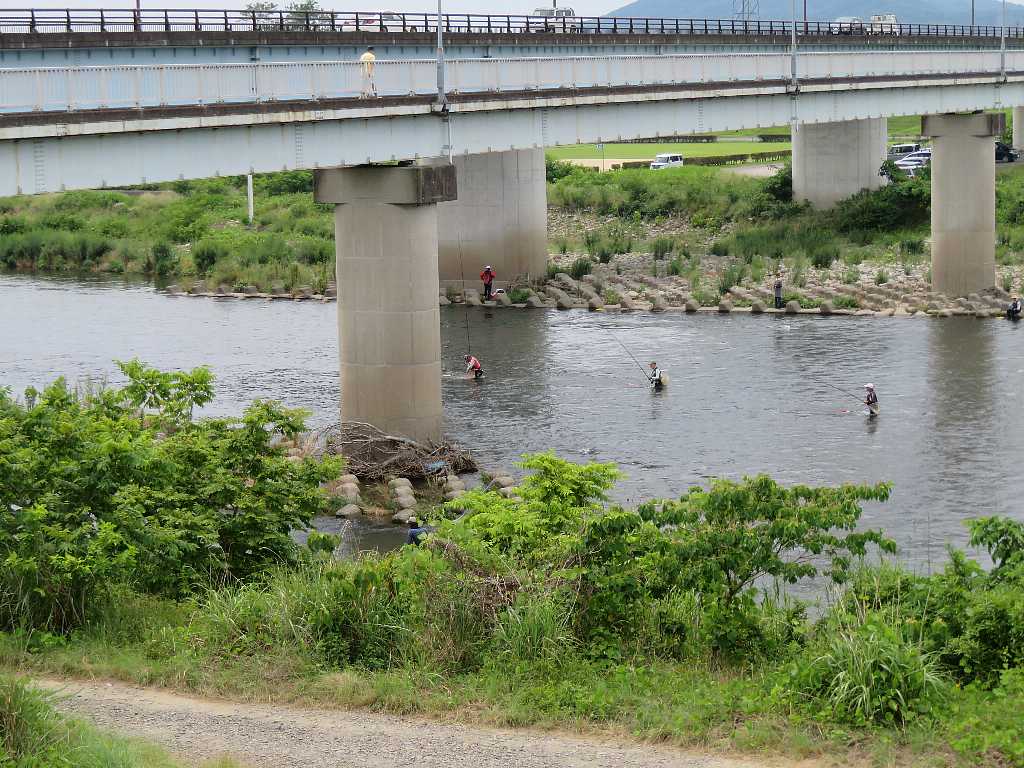 渡良瀬川の鮎釣りを撮る 足利市 渓流釣りと食べ歩き桐生岩魚のブログ