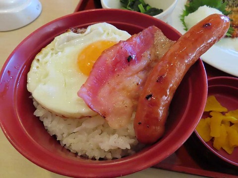 IMG_4726 - コピー