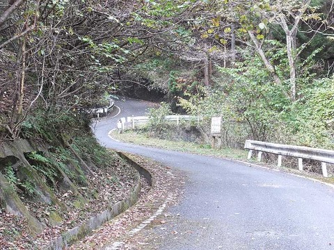 2DSCF1509