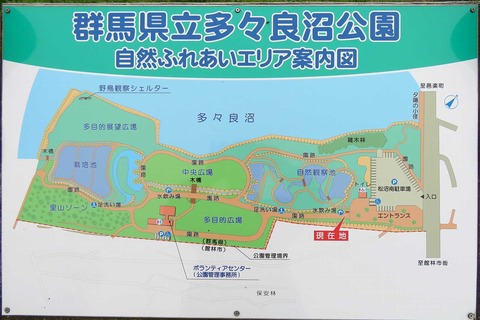 多々良沼の地図２ (2)