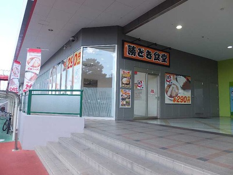 1DSCF4684