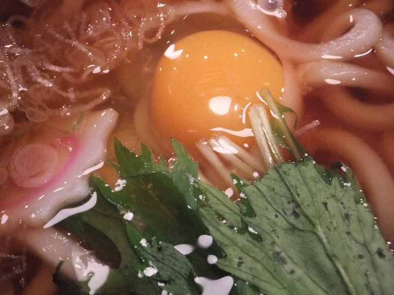 イメージ 14