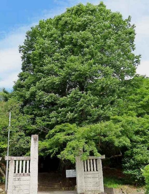 1金龍寺