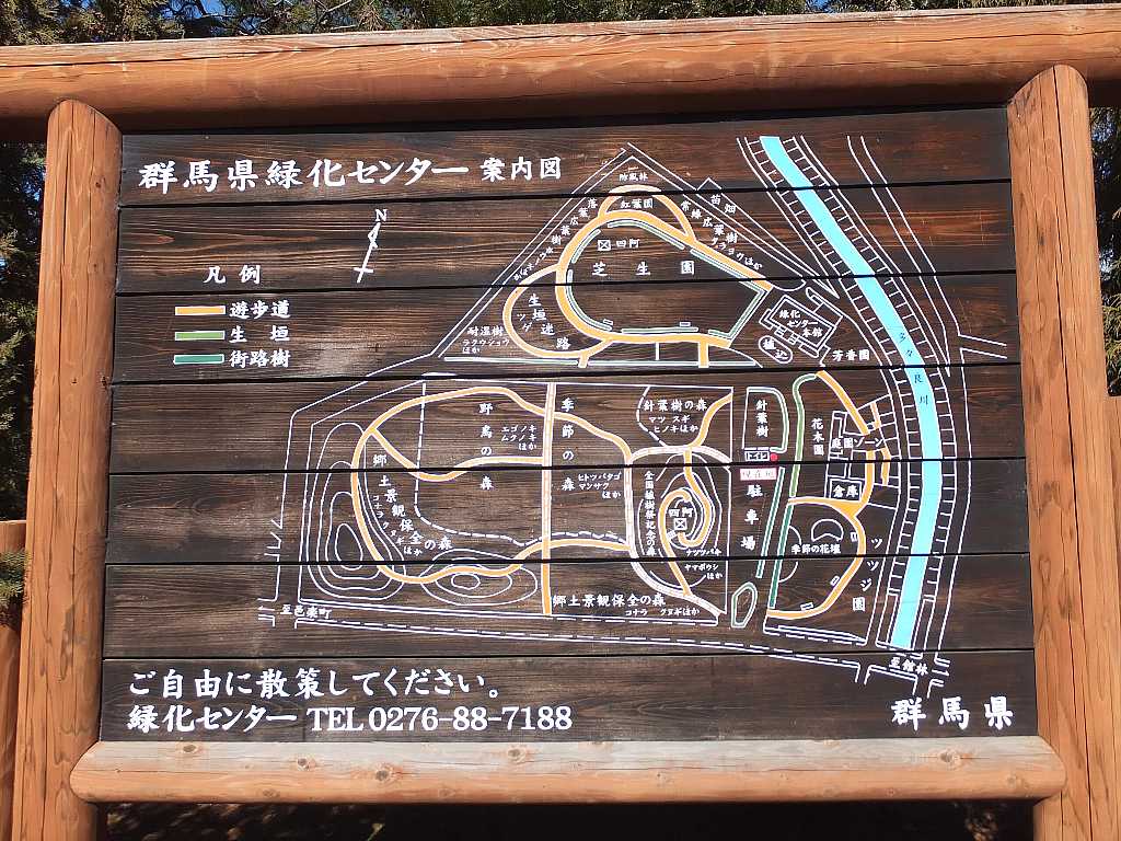 早春の花マンサクが見頃 群馬県緑化センター 渓流釣りと食べ歩き桐生岩魚のブログ 早春の花マンサクが見頃 群馬県緑化センター 渓流釣りと食べ歩き桐生岩魚のブログ